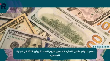 سعر الدولار مقابل الجنيه المصري اليوم الأحد 22 يونيو 2025 في البنوك الرسمية